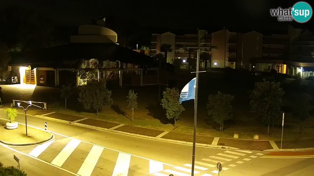 Livecam Rosolina mare