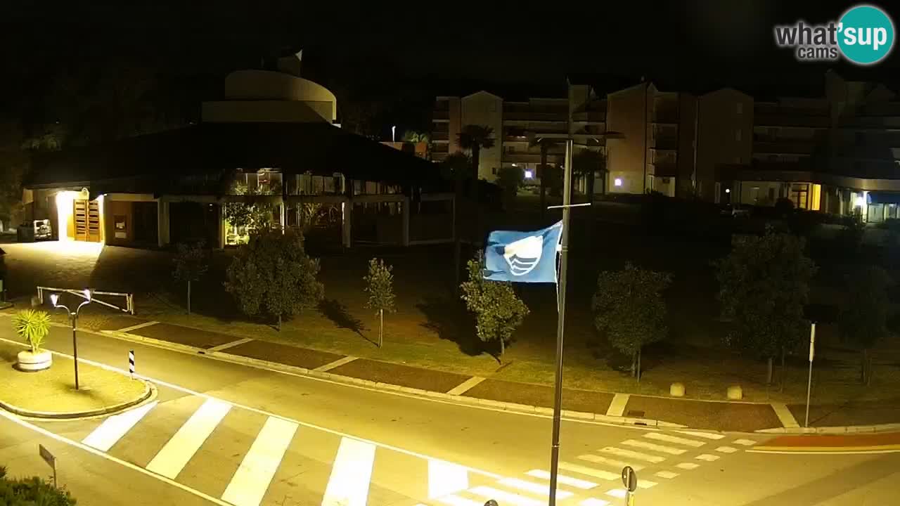 Livecam Rosolina mare