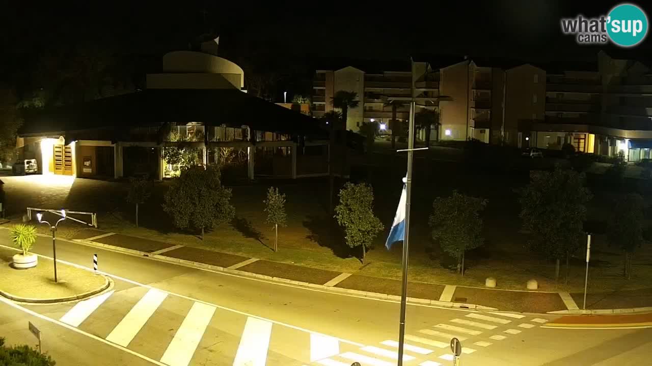 Livecam Rosolina mare