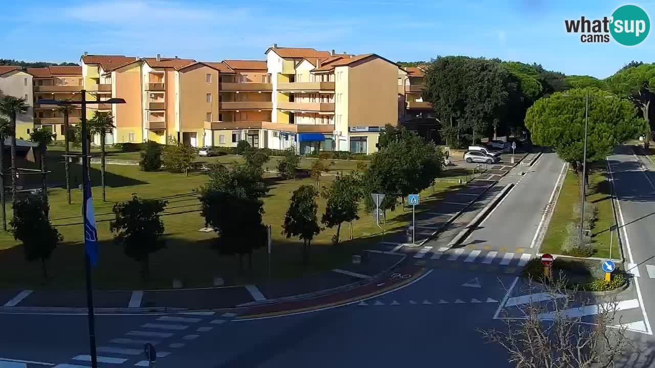 Livecam Rosolina mare