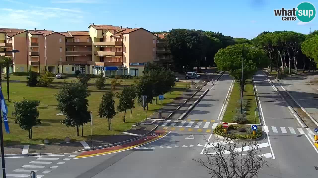 Livecam Rosolina mare