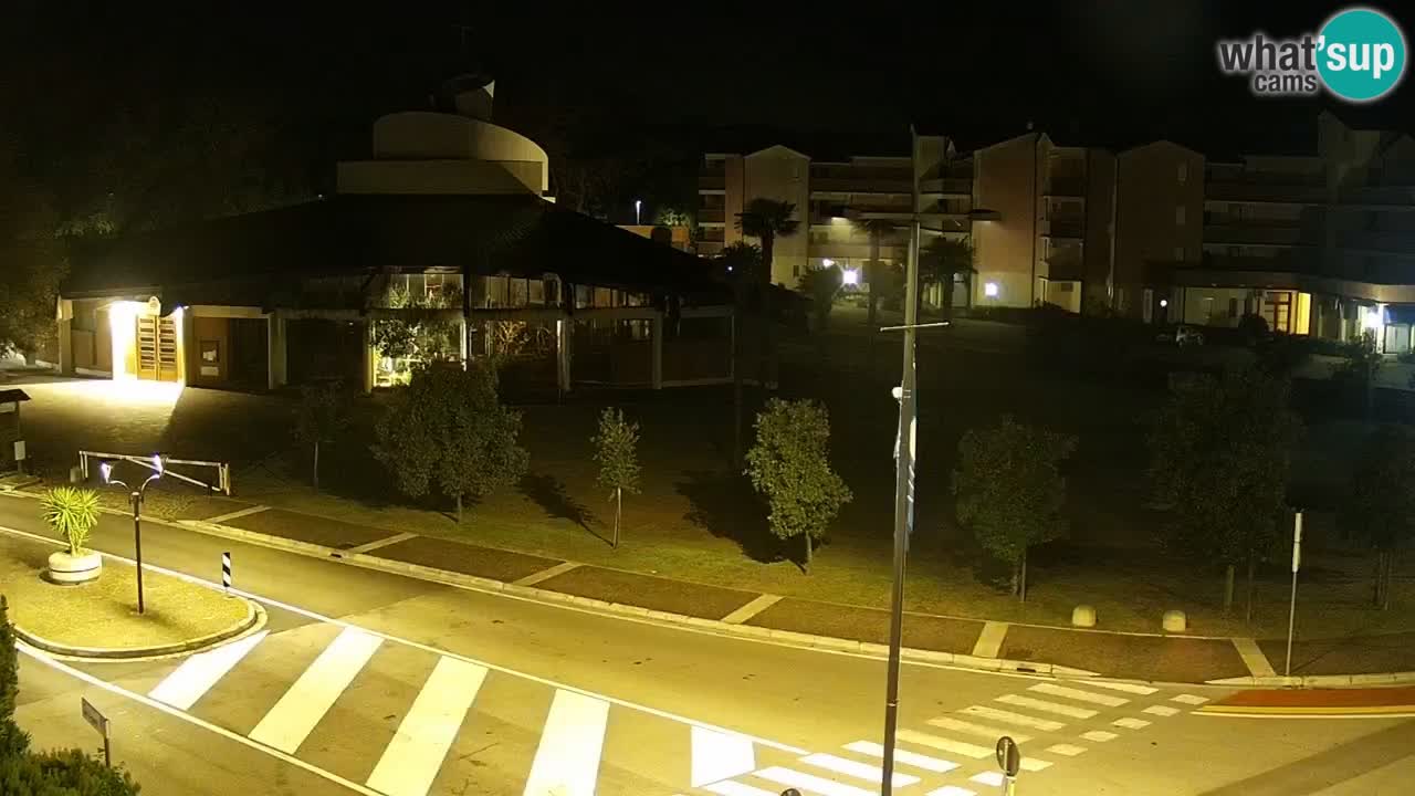 Camera en vivo Rosolina mare