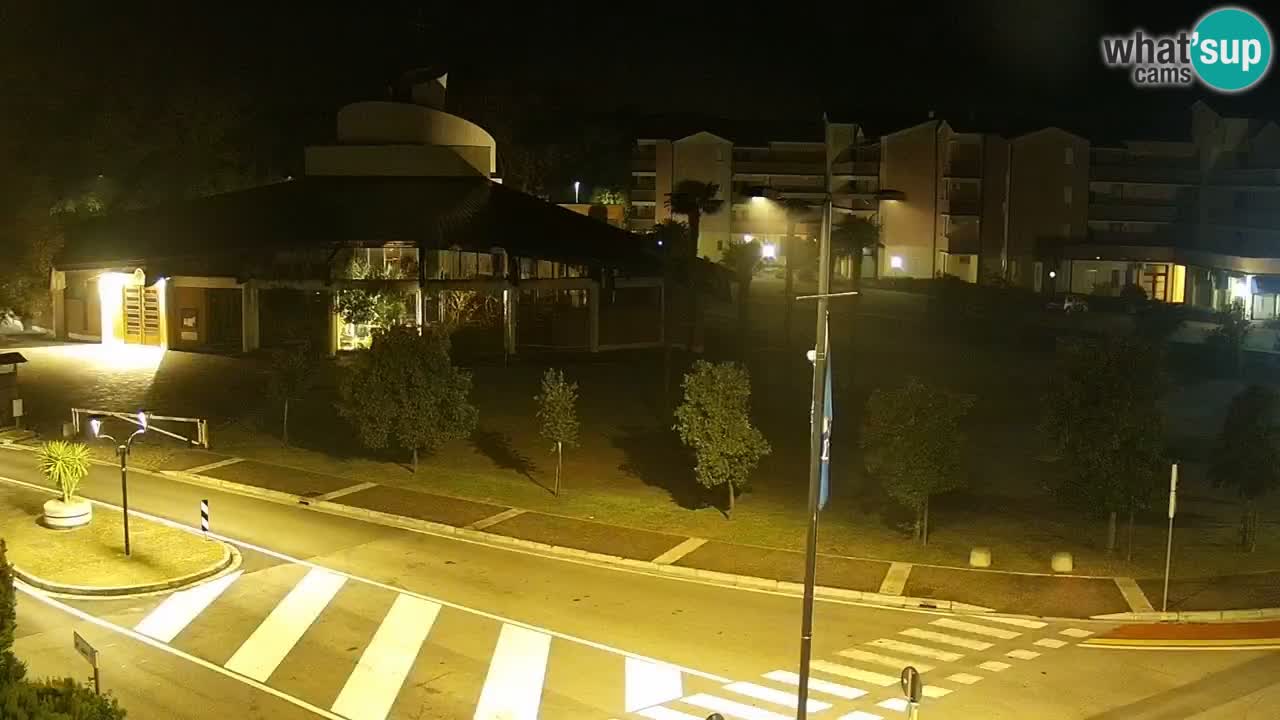 Camera en vivo Rosolina mare