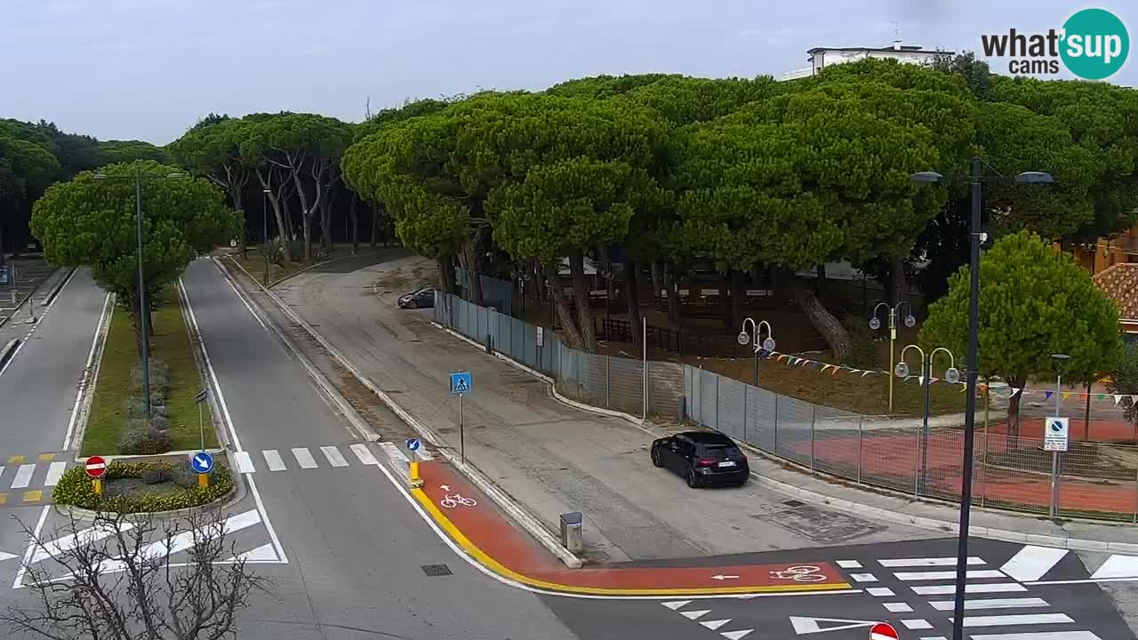 Livecam Rosolina mare