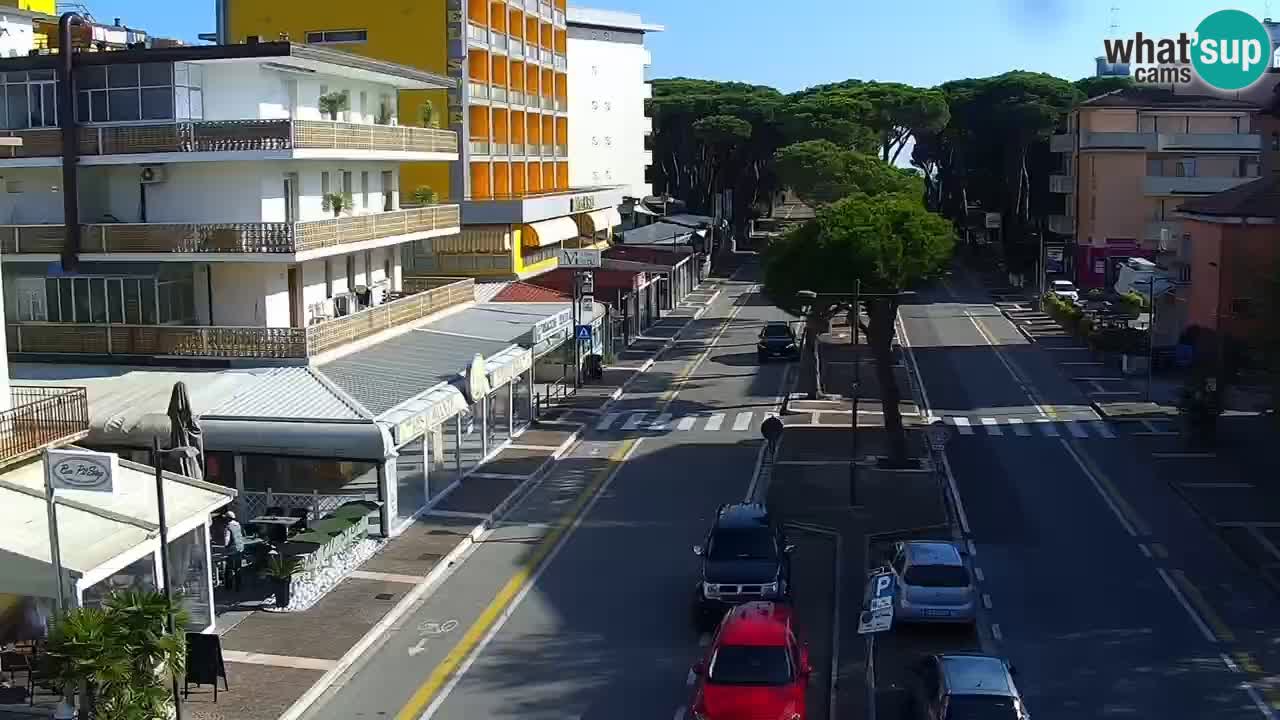 Camera en vivo Rosolina mare