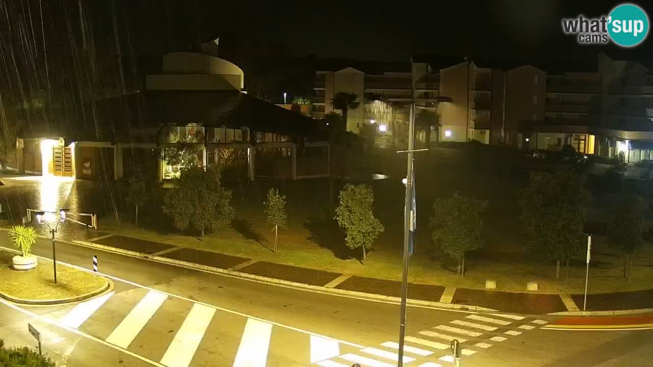 Livecam Rosolina mare