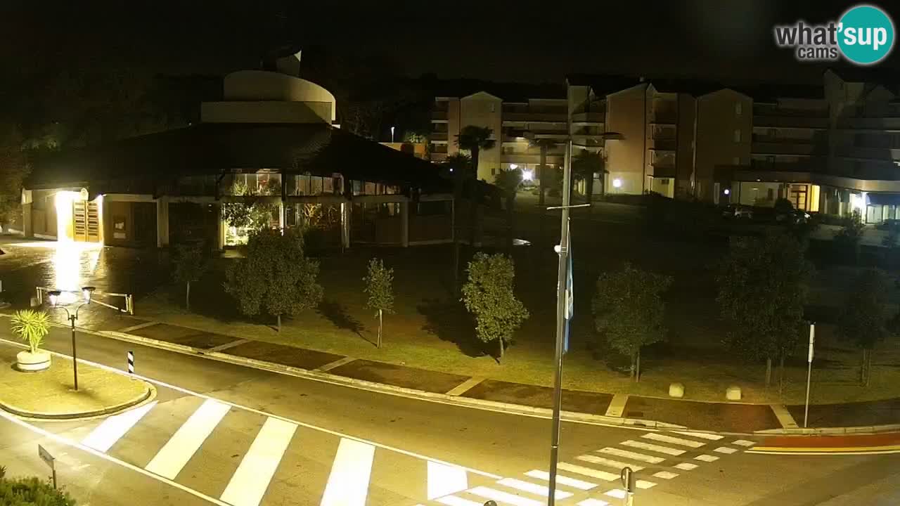 Camera en vivo Rosolina mare