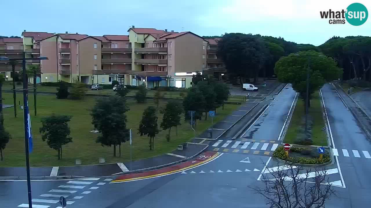 Camera en vivo Rosolina mare