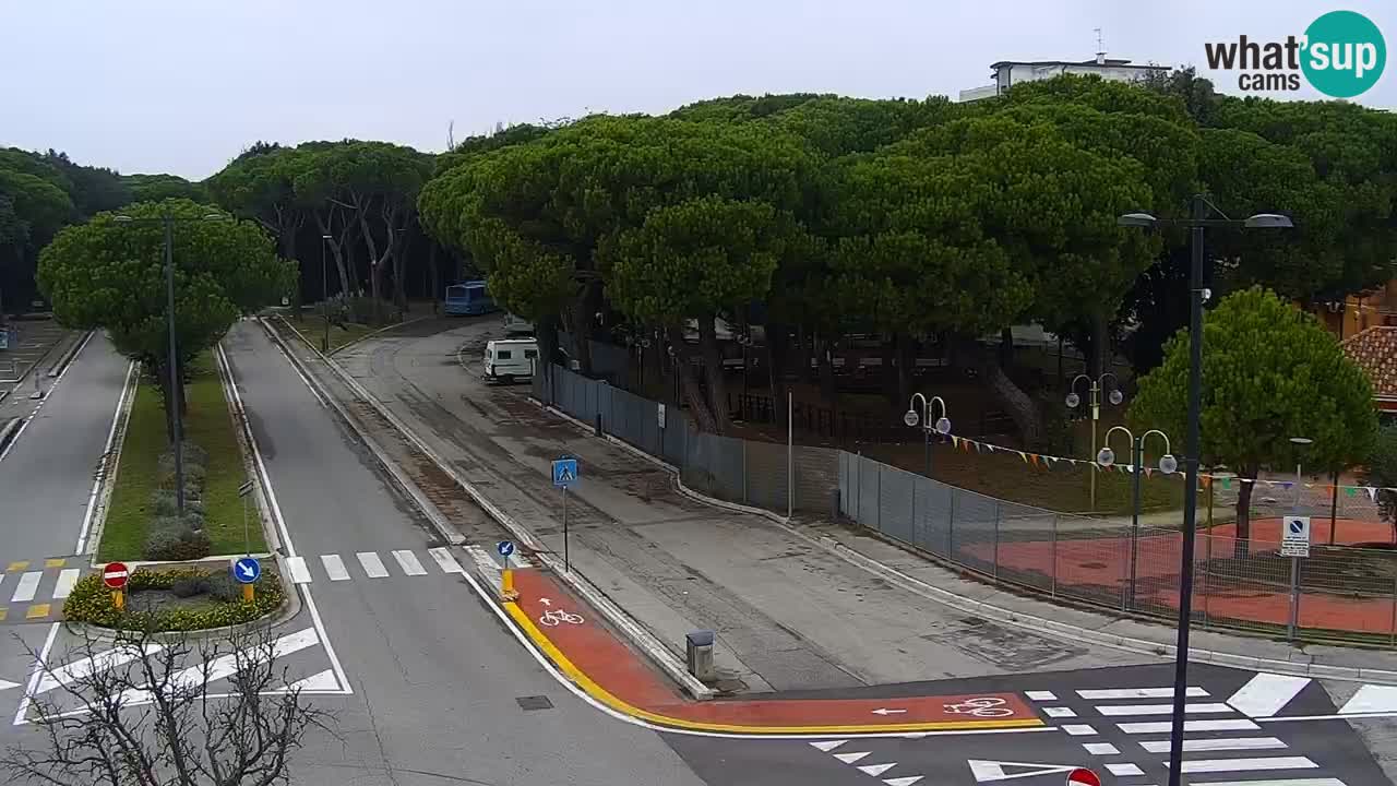 Livecam Rosolina mare