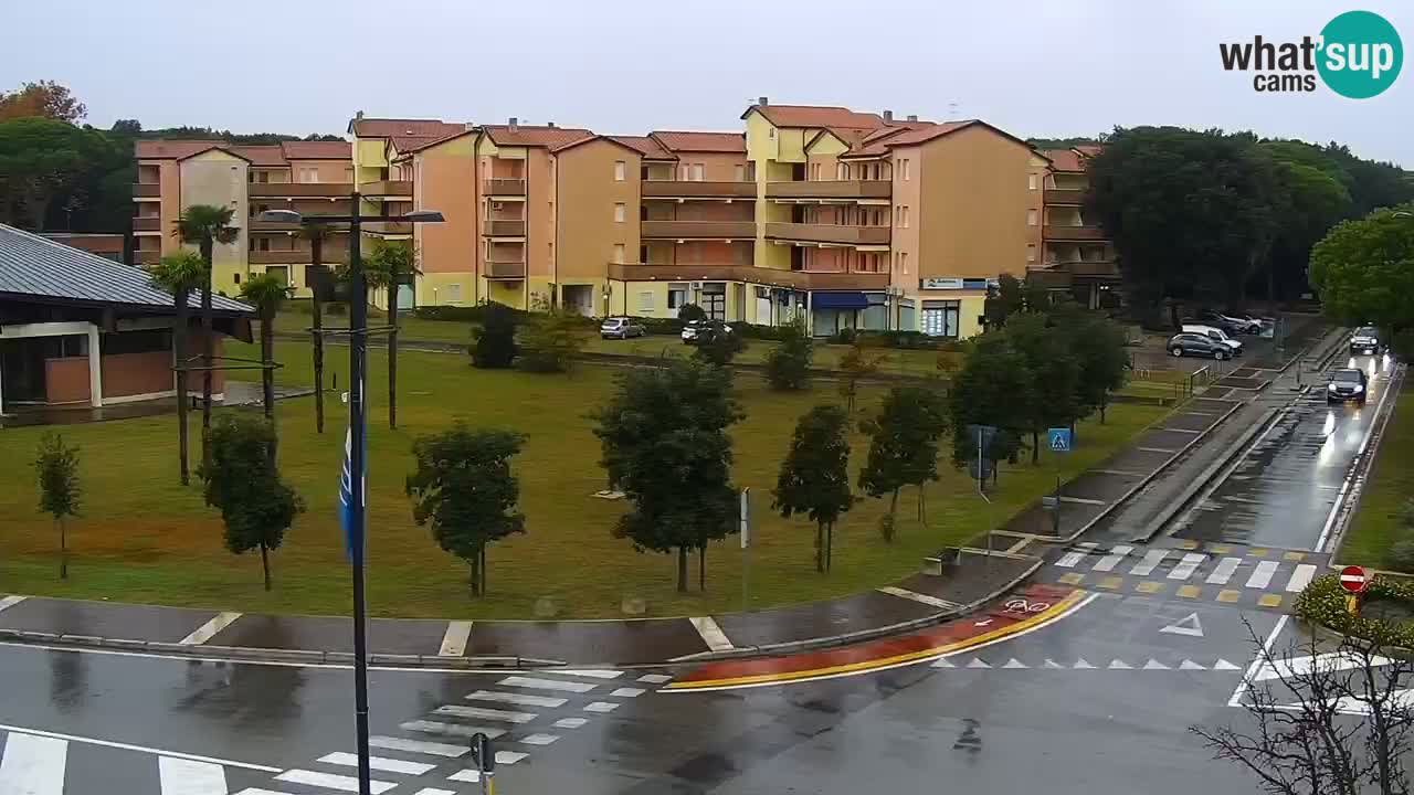 Camera en vivo Rosolina mare