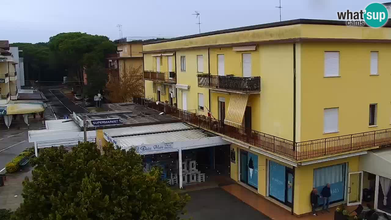 Camera en vivo Rosolina mare