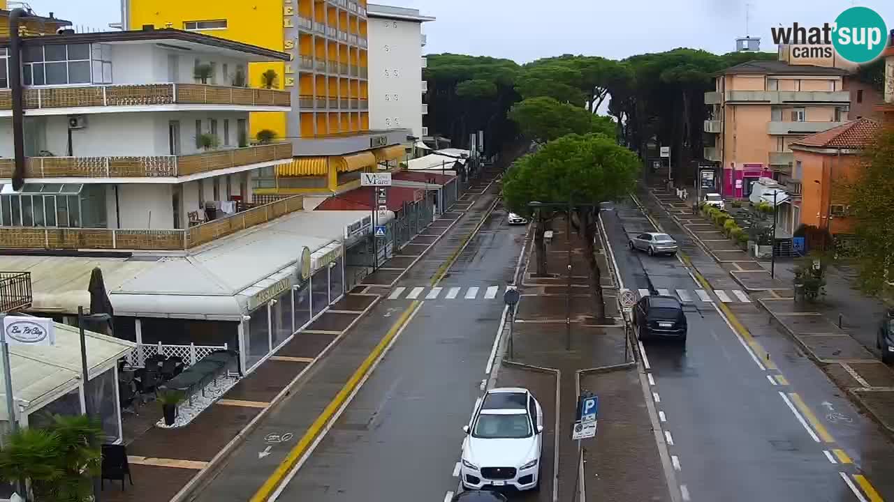 Web kamera Rosolina mare