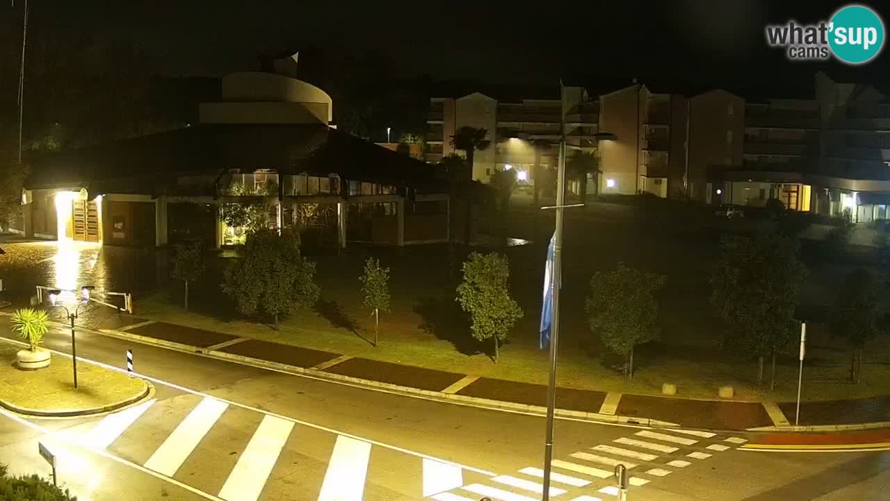 Camera en vivo Rosolina mare