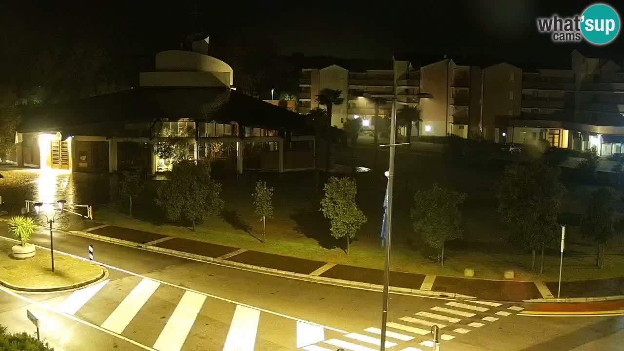 Camera en vivo Rosolina mare