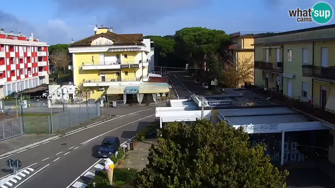Livecam Rosolina mare