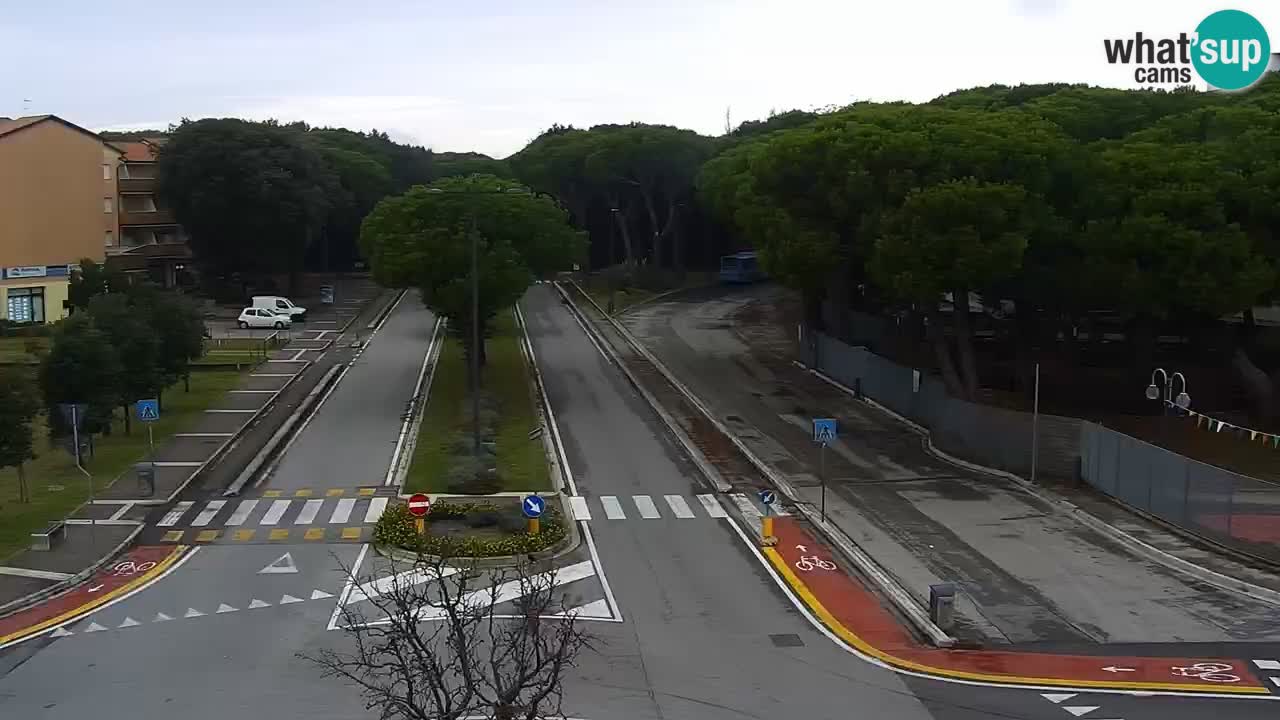 Web kamera Rosolina mare