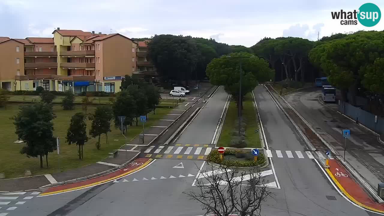 Camera en vivo Rosolina mare