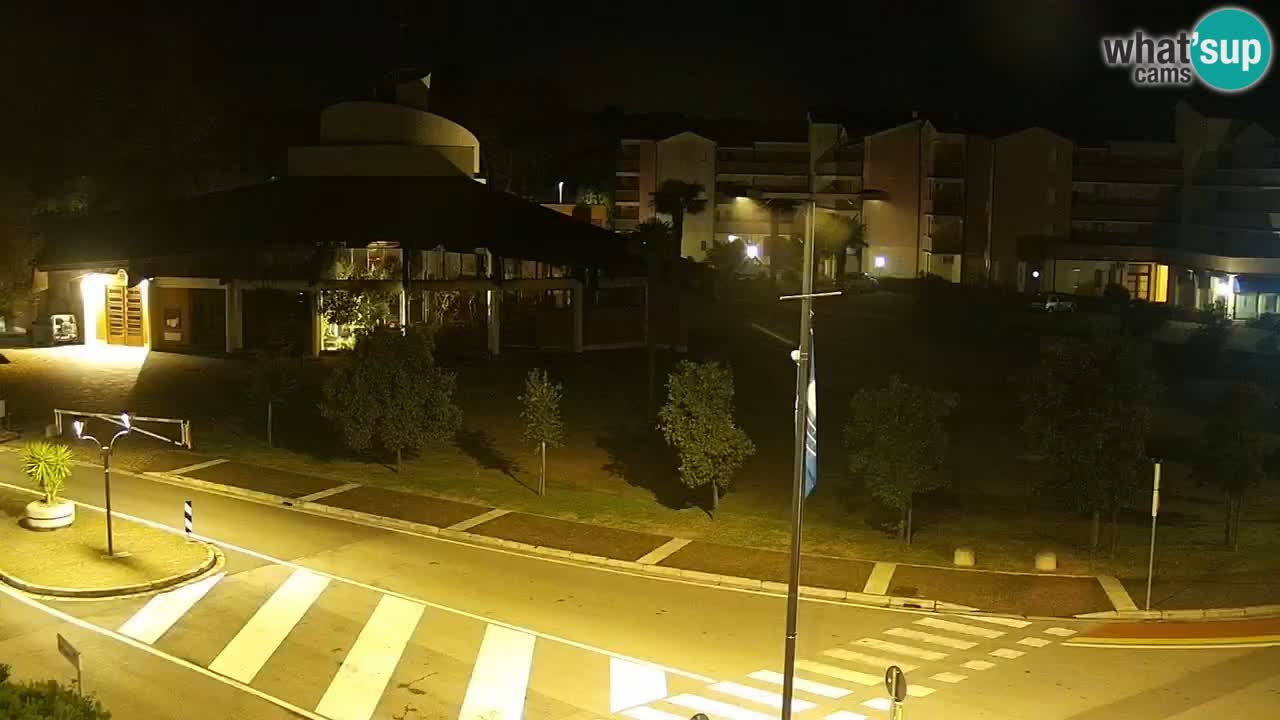 Camera en vivo Rosolina mare