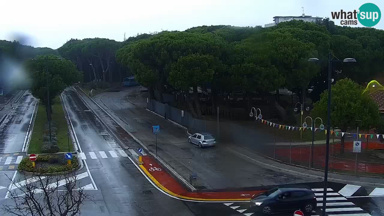 Camera en vivo Rosolina mare