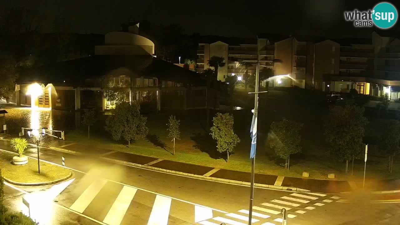 Livecam Rosolina mare