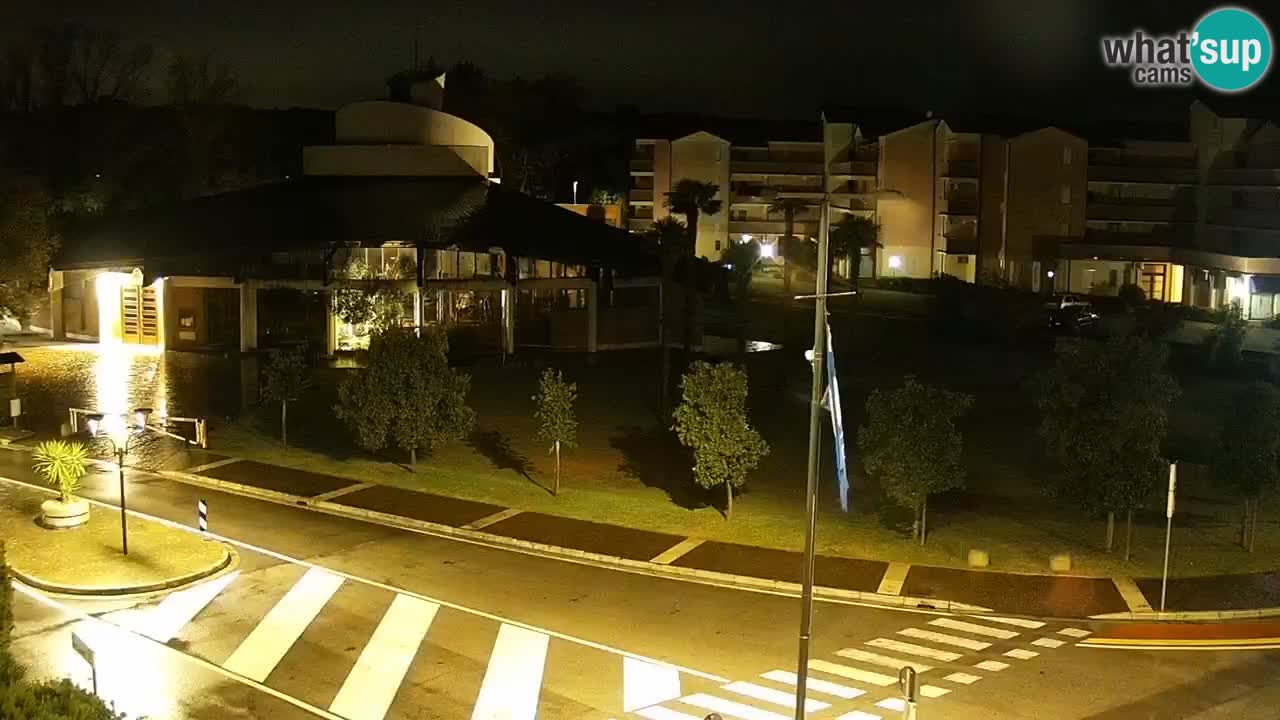 Web kamera Rosolina mare