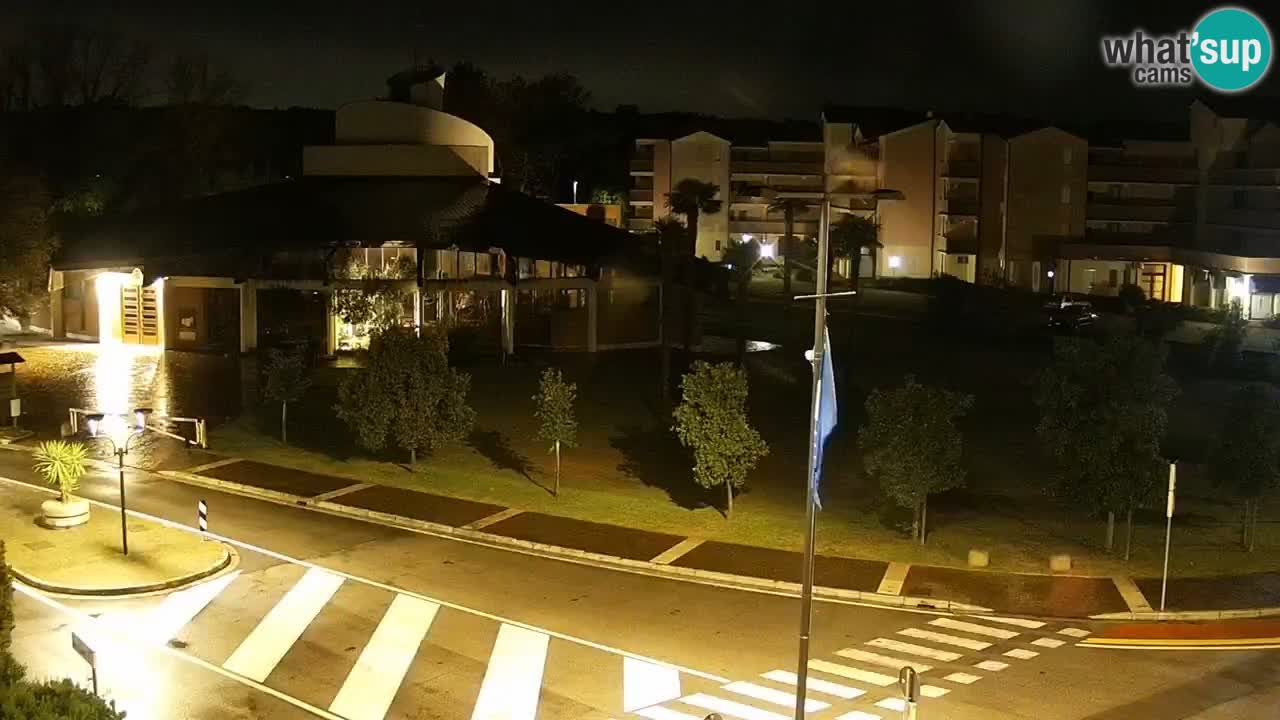 Camera en vivo Rosolina mare