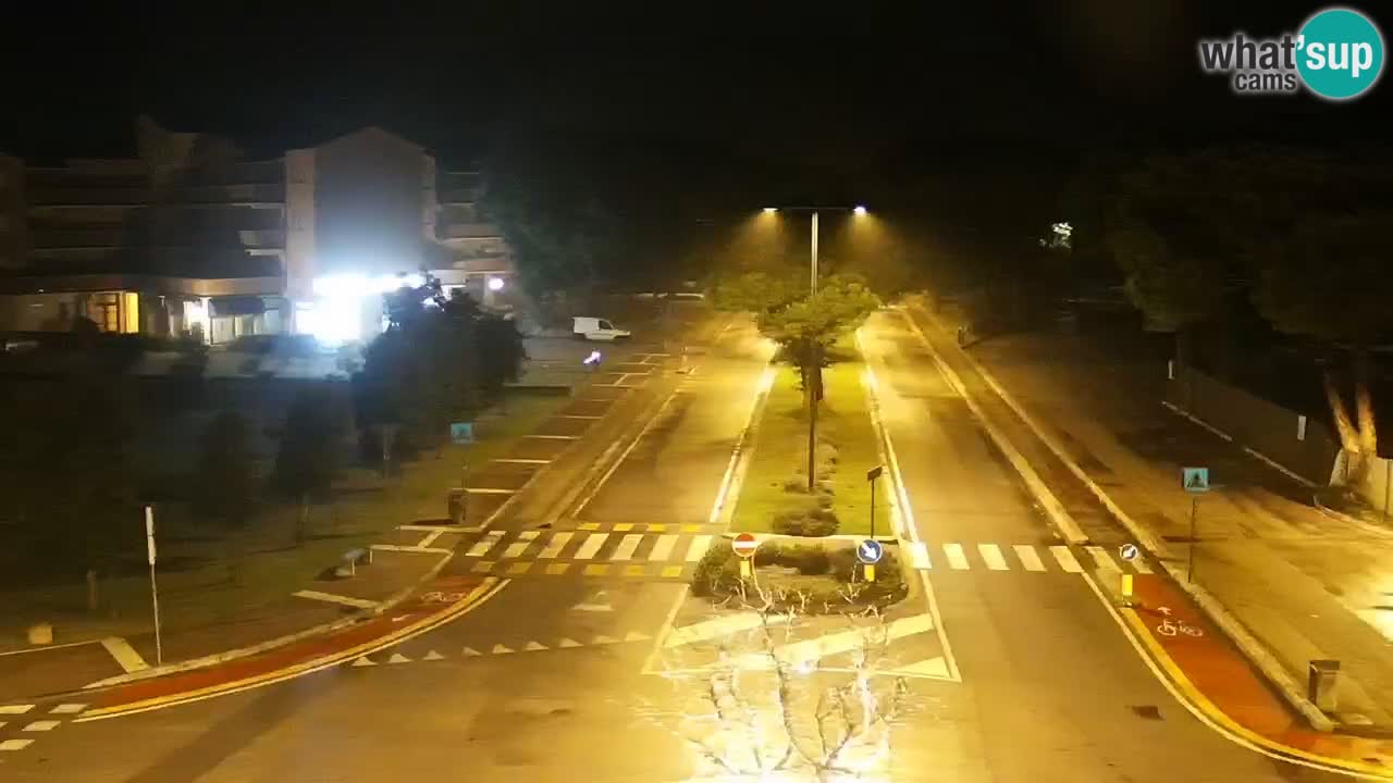 Livecam Rosolina mare