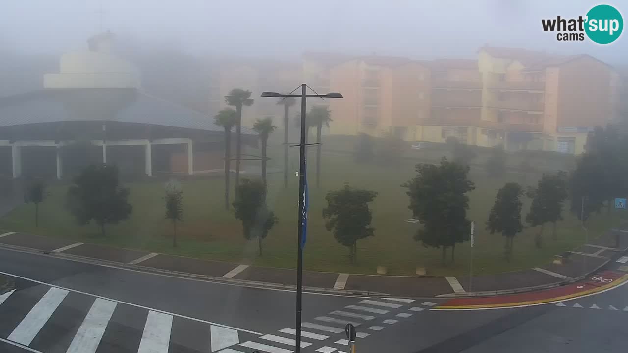 Livecam Rosolina mare