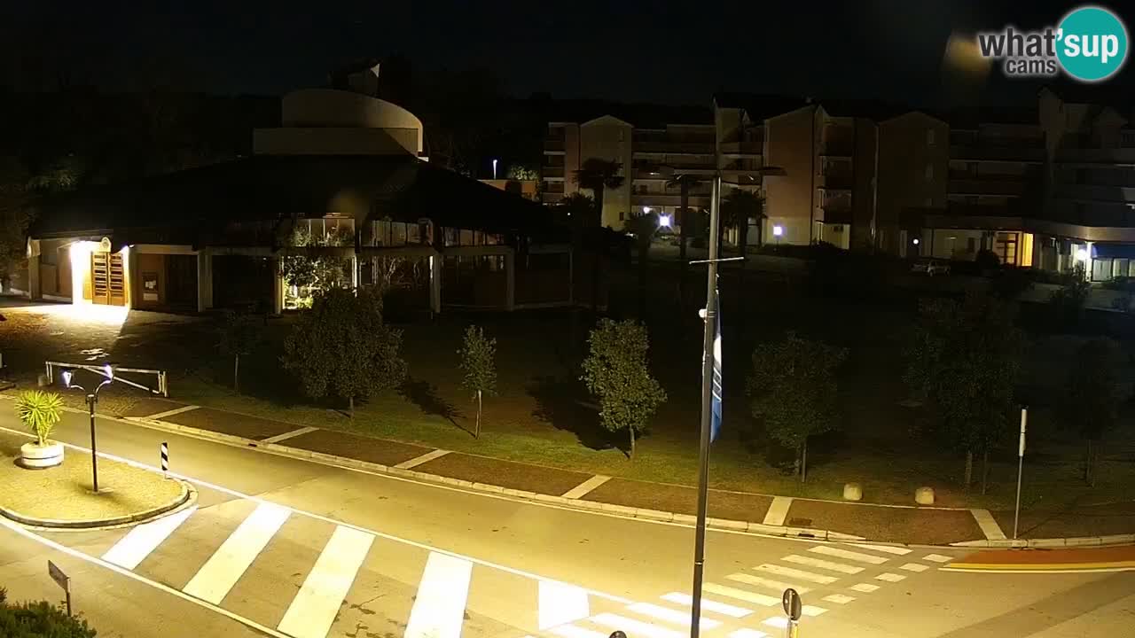 Livecam Rosolina mare