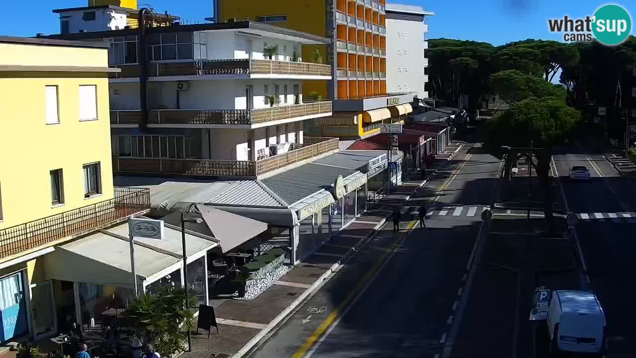 Camera en vivo Rosolina mare