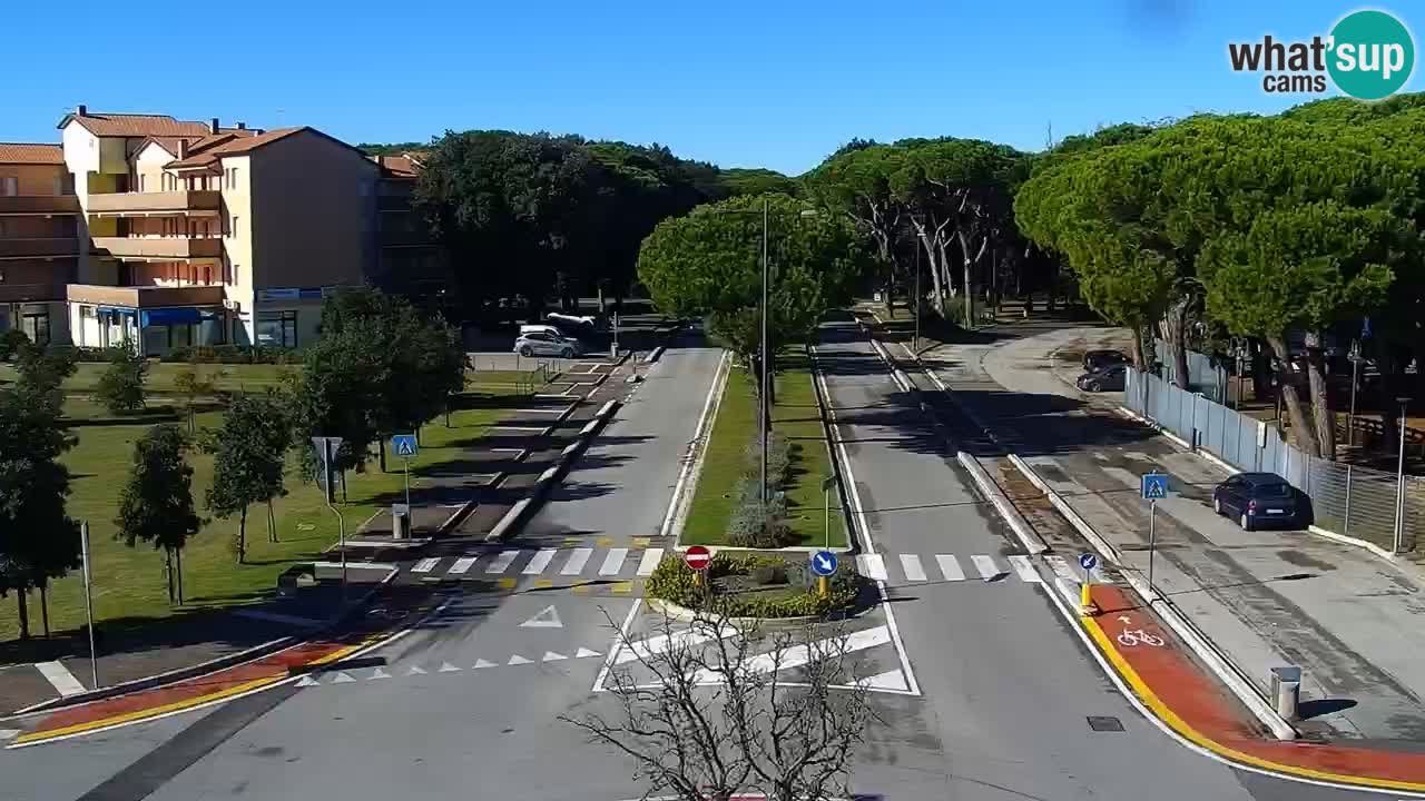 Livecam Rosolina mare