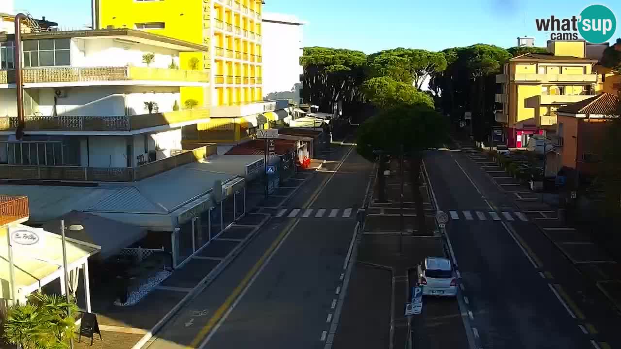 Camera en vivo Rosolina mare