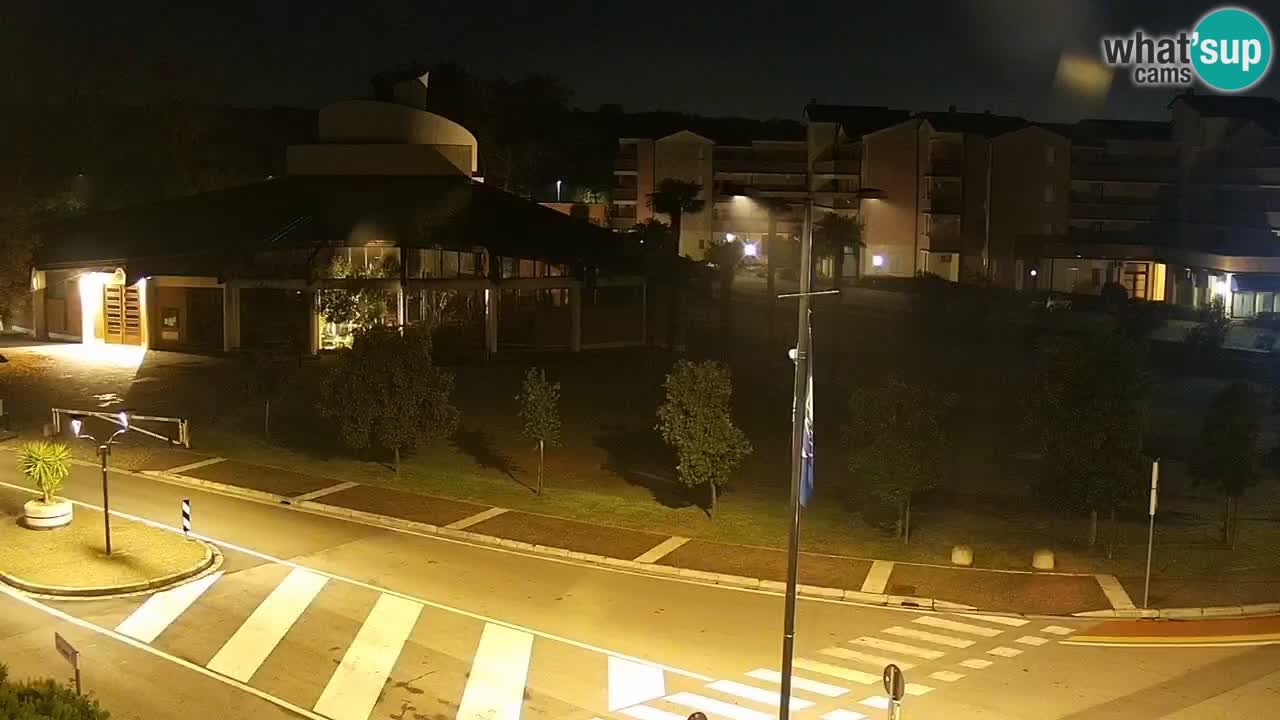 Camera en vivo Rosolina mare