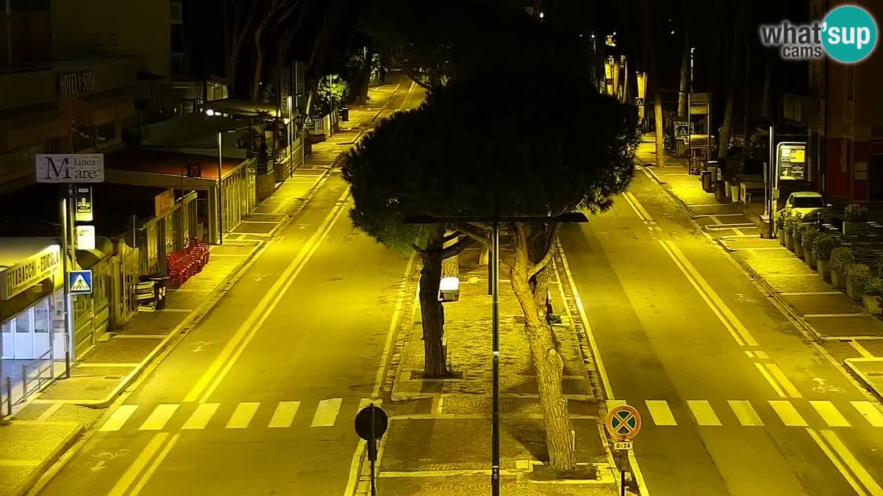 Livecam Rosolina mare