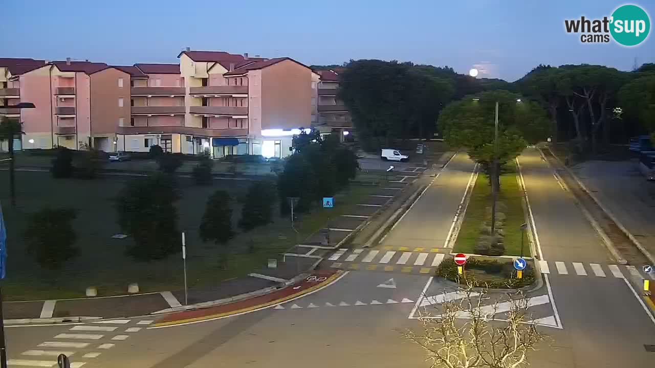 Camera en vivo Rosolina mare