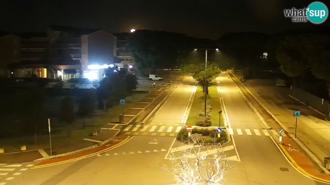 Livecam Rosolina mare