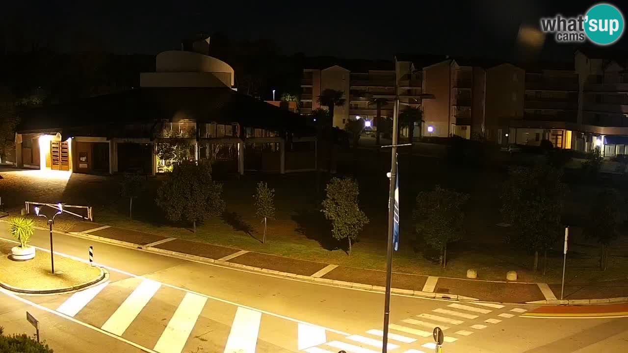 Livecam Rosolina mare