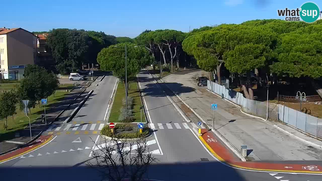 Camera en vivo Rosolina mare