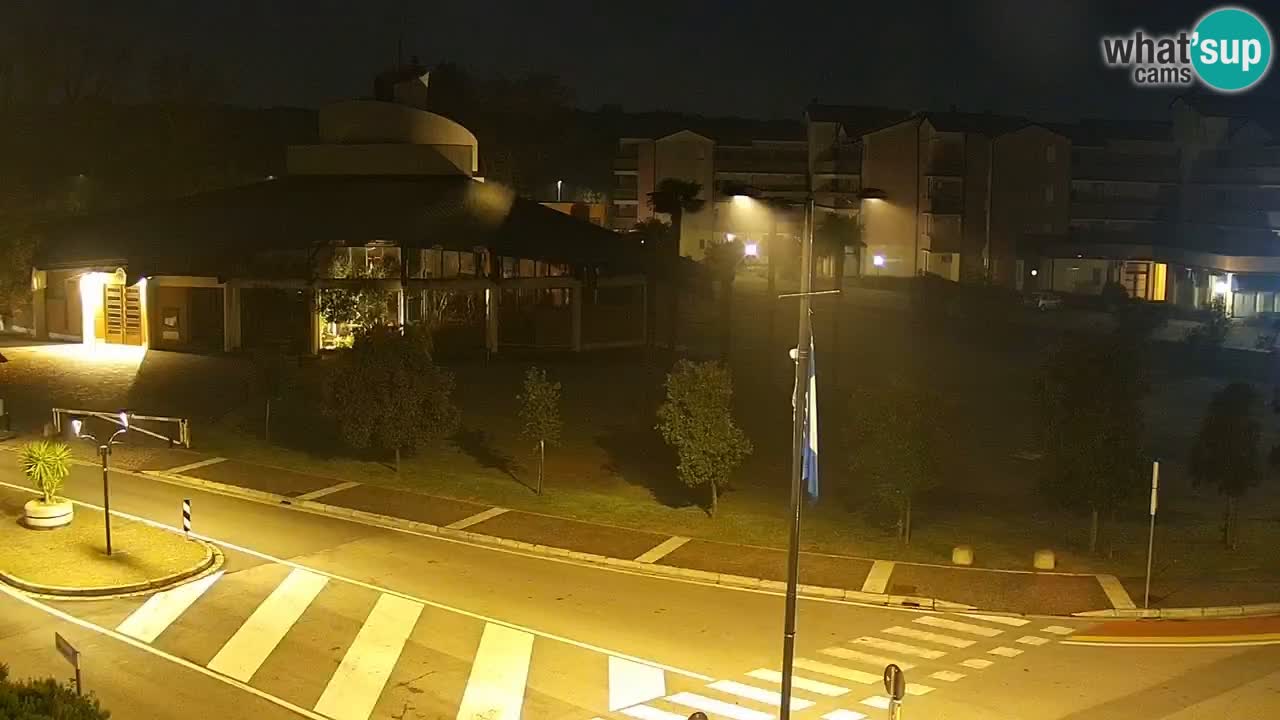 Camera en vivo Rosolina mare