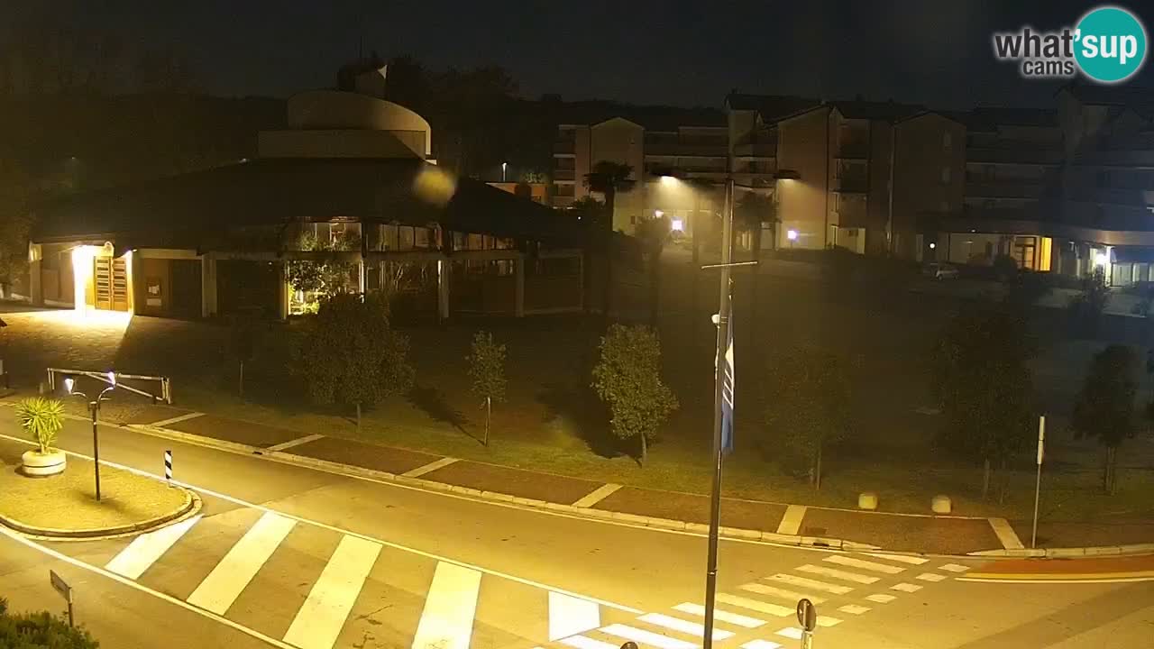 Livecam Rosolina mare