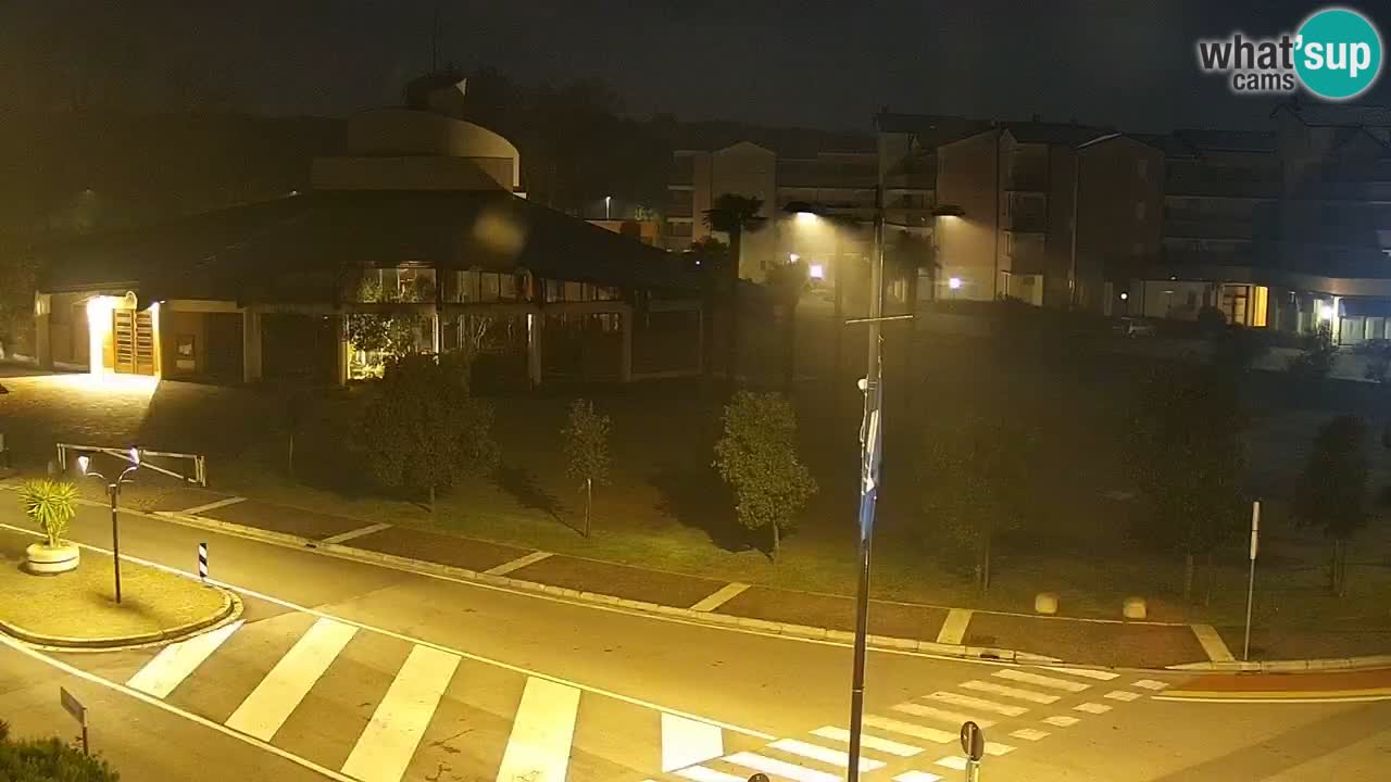 Camera en vivo Rosolina mare