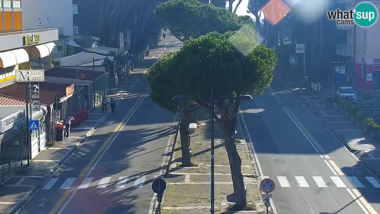 Camera en vivo Rosolina mare