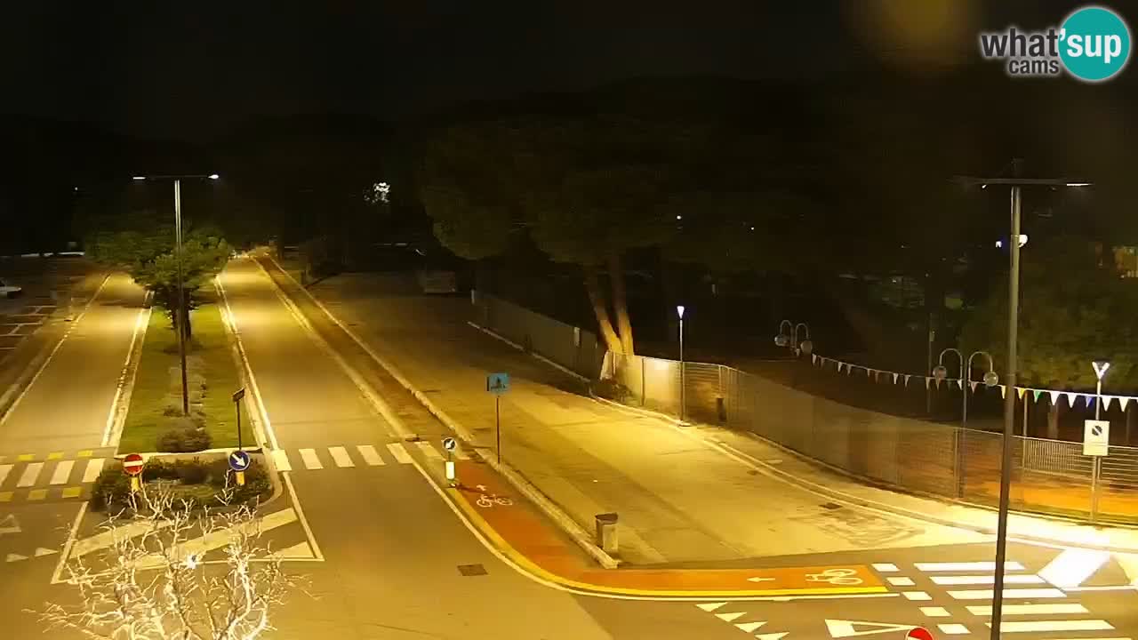 Livecam Rosolina mare