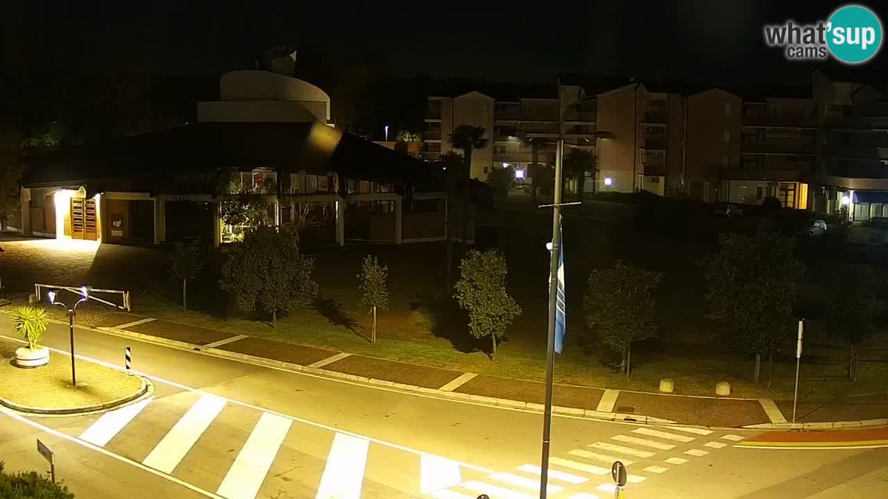 Camera en vivo Rosolina mare