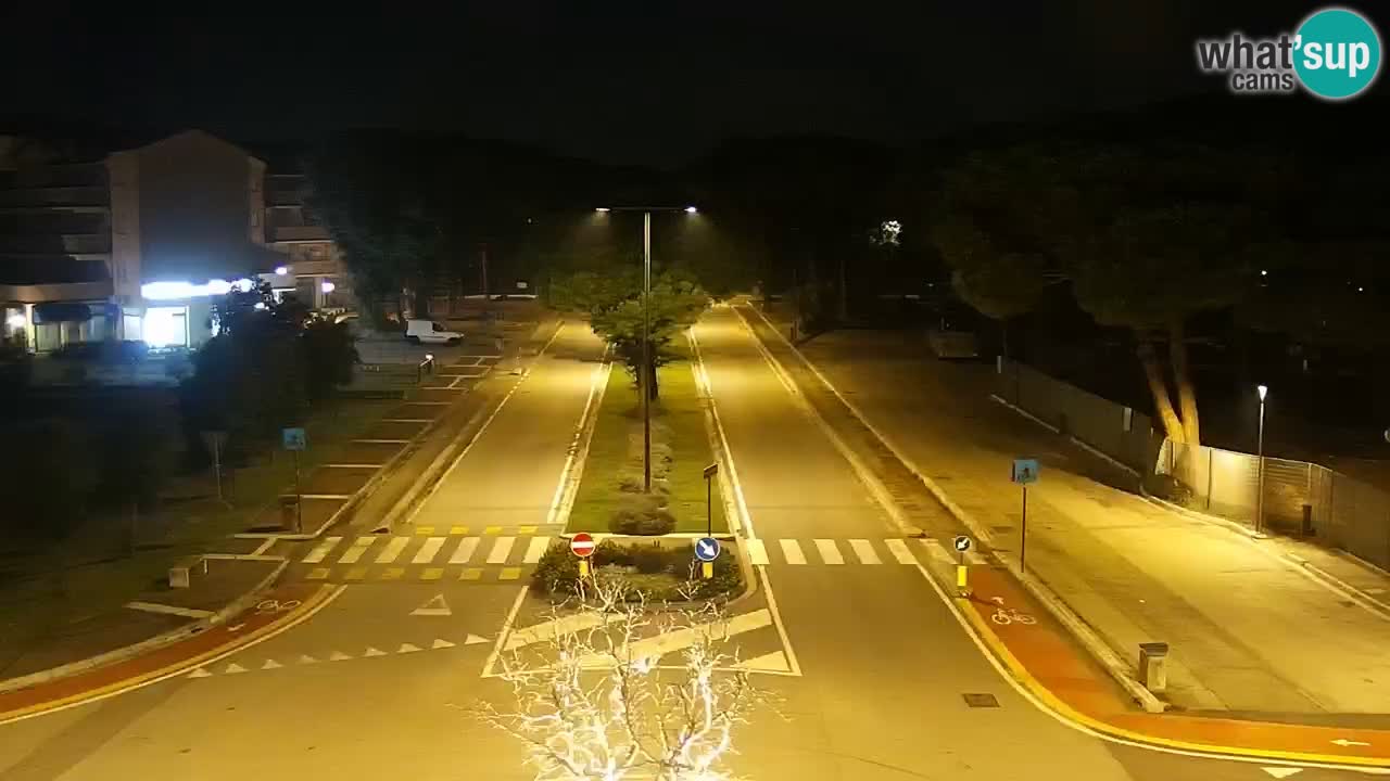 Camera en vivo Rosolina mare