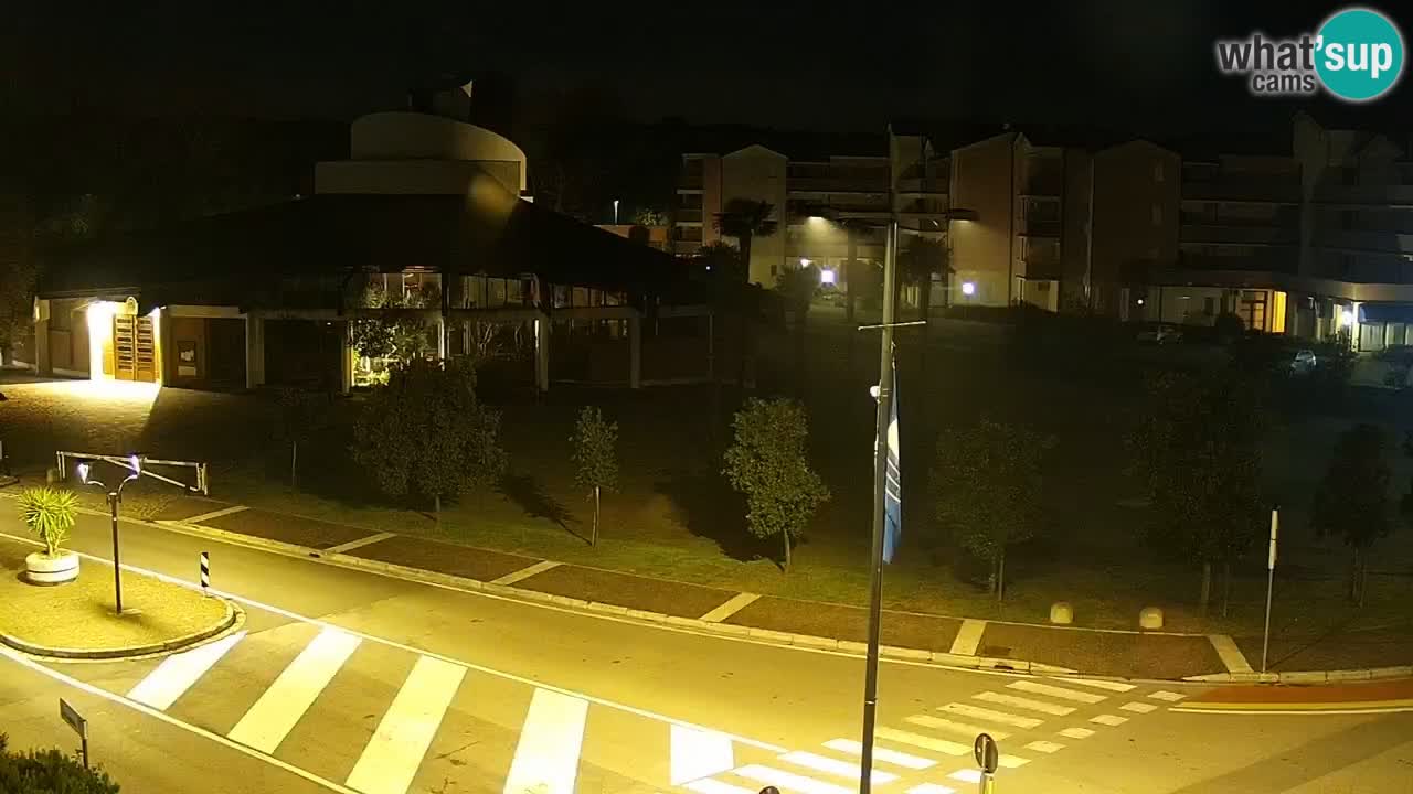 Camera en vivo Rosolina mare