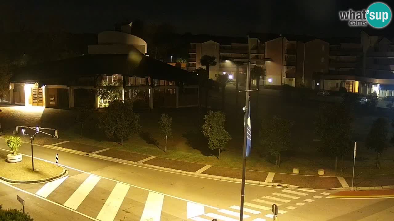 Camera en vivo Rosolina mare