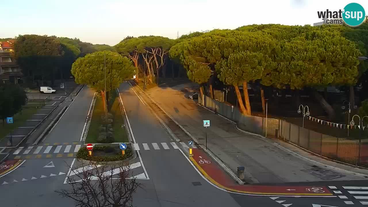 Camera en vivo Rosolina mare