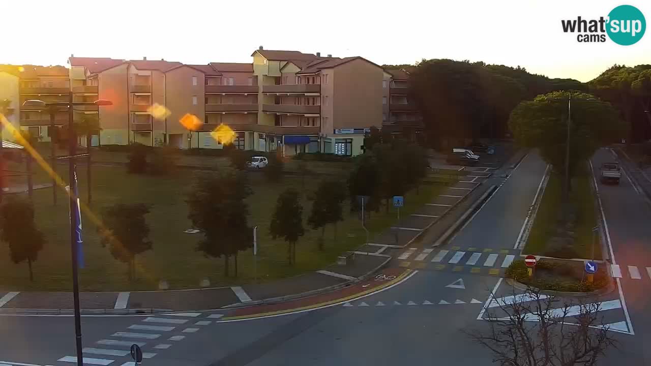 Livecam Rosolina mare