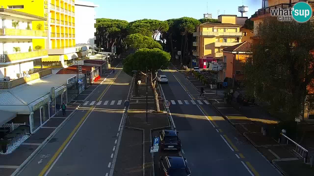 Camera en vivo Rosolina mare